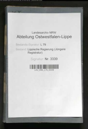 Kommunalwegebau im Amt Horn - Generalia -, Band 10