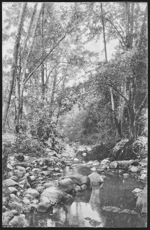 Napa, California. Dry Creek