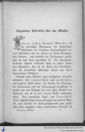 Allgemeiner Überblick über das Münster.