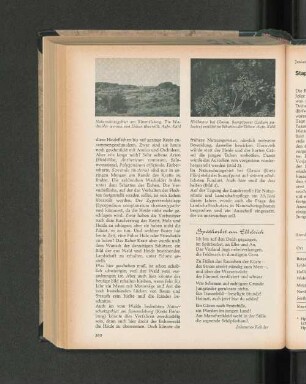 Gedicht: Spätherbst am Elbdeich.