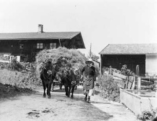 Halden, Heuwagen