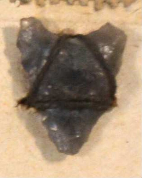 Stone arrowhead