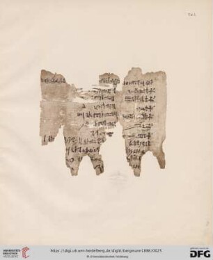 Taf. I - XVIII