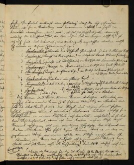 Entwürfe zu Veröffentlichungen über die Tendaguru-Expedition 1911