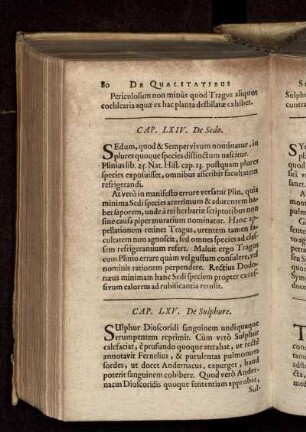 Cap. LXV. De Sulphure