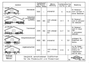 Vergleich verschiedener Stallformen für die Rinderzucht und Rindermast