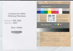 Entnazifizierung Walter Sayn, geb. 12.01.1899 (Fahrlehrer)