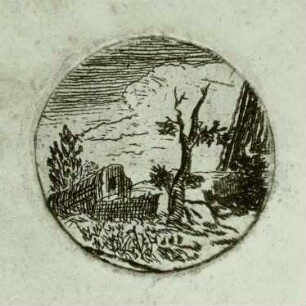 Landschaft mit einem kahlen Baum