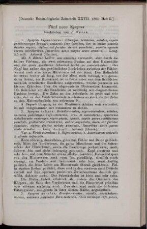 Fünf neue Syagrus