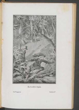 En la selva virgen. - Lámina 4.ª