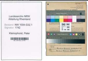 Entnazifizierung Peter Kleinophorst , geb. 20.11.1894 (Techn.Inspektor)