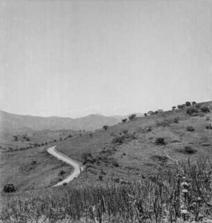 Panorama : Panorama der Straße entlang der Zentralafrikanischen Schwelle