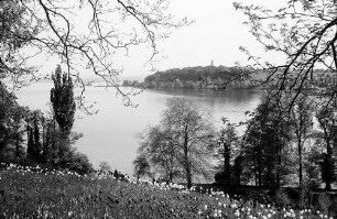 Mainau, Insel Mainau: Pressefahrt mit der DB, Tulpenblüte auf der Mainau; Blick von der Frühlingstraße