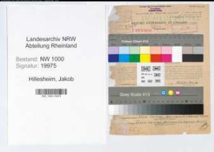 Entnazifizierung Jakob Hillesheim, geb. 19.12.1906 (Ingenieur)