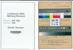 Entnazifizierung Hermann Schultz, geb. 01.03.1888 (Zimmerer)