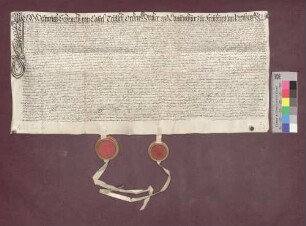 Das Deutsch-Ordens-Haus zu Freiburg wird dem Frauenkloster Adelhausen zu Freiburg 1.000 Gulden, verzinslich mit 50 Gulden, schuldig.