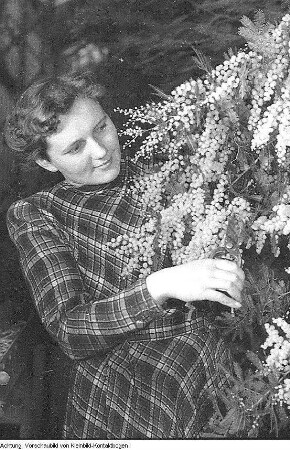 Dresden, Pillnitz. Versuchsanstalt? Mimosen, Januar 1954