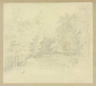 Waldweg