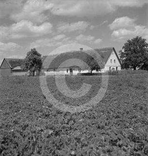 Großer Bauernhof in Toptscha