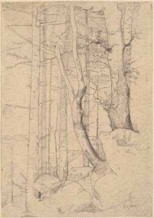Waldstudie (recto)