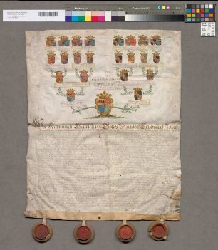 16er Wappenahnentafel der Anna Friederike Elisabeth Gräfin zu Manderscheid-Blankenheim-Kail. Bestätigt durch Maximilian Heinrich Erzbischof zu Köln, Erich Adolf Graf zu Salm-Reifferscheid, Landgraf zu Hessen-Hersfeld, Salentin Ernst Graf zu Manderscheid-Blankenheim. Mit den 4 Unterschriften. 4 Siegel in Holzkapseln (von 4) erhalten.