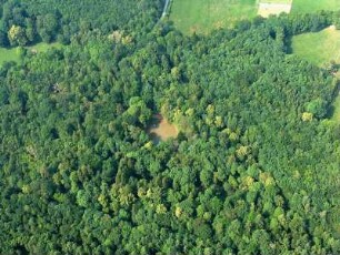 Bad Homburg vor der Höhe : Domholzhausen - westlich