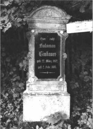 Grabstein 41 (Index: 100106576) Material: Sandstein, Inschriftenplatte Glas, Marmorrosetten Zustand: leicht verwittert Maße HxBxT: 174x58x19 cm Beschreibung: Stele, eingezogener Rundbogenabschluß mit Verdachung, Palmettenaufsatz, rechteckige Schriftplatte eingelassen, Seitenvoluten, getreppter Sockel, Mormorrosetten: Grabstein 41