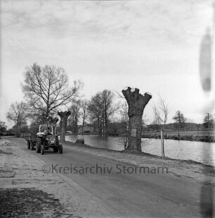 Teichstraße: Traktor mit Anhänger: rechts Dorfteich [Weberteich]: Uferbäume nach Beschneiden: im Hintergrund Hofgebäude, Felder, Bäume