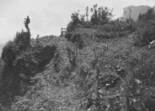 Berghang : Blick auf einen Berghang mit Vegetation