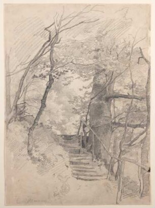 Waldweg mit Treppe