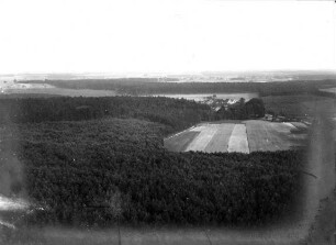 Wälder zwischen Halbe und Baruth