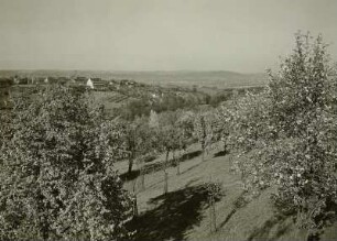 Gerbergrund in Goppeln : Goppeln (Gemeinde Bannewitz). Blick von SW über den Gerbergrund, Hintergrund rechts Borsberg