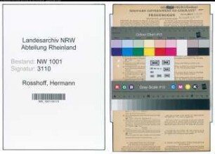 Entnazifizierung Hermann Rosshoff, geb. 01.06.1906 (Malermeister)
