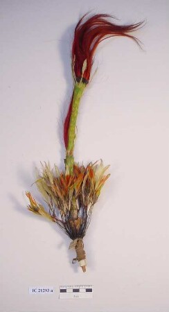 Federschmuck