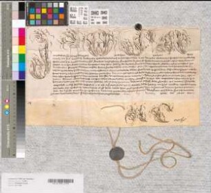 Papst Innozenz XII. erlaubt dem Abt Florenz (Florentius) von Corvey, sich von einem Bischof benedizieren zu lassen. Tertio non. decembris.