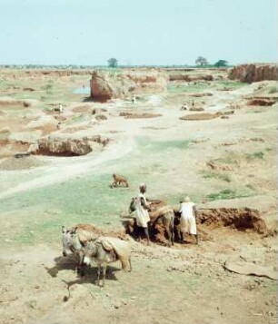 Kano. Lehmziegelherstellung. 1959 : Kano. Herstellung von Lehmziegeln, 4. Mai 1959