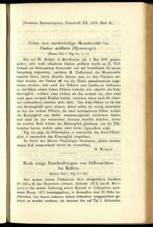 Noch einige Beschreibungen von Difformitäten bei Käfern