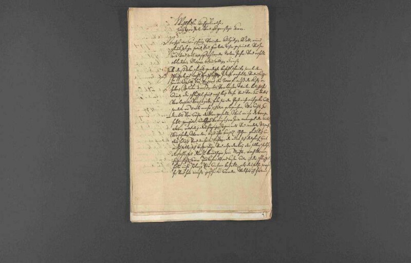 Pfalz-Zweibrücken-Bischweiler Vormundschaftsakten (Fasc. VIII).