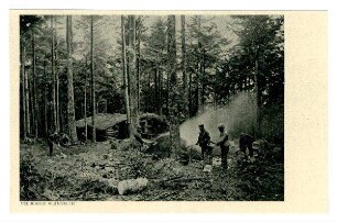 Nr. 8: Feldgraue als Köhler