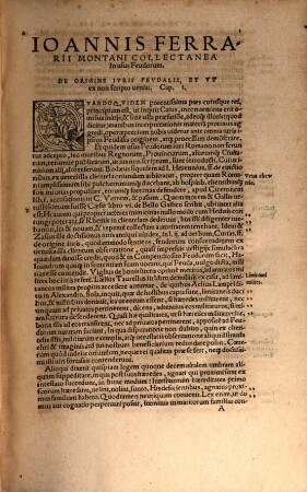 Ioannis Ferrarii Montani in usus Feudorum collectanea quodammodo methodica : tyronibus in iuris disciplina versantibus non inutilia ; Quibus etiam nonnulla de homagio, operis & praestationibus subditorum adcesserunt, quotidie usuuenientia