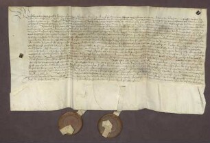 Vergleich der Vormundschaft der Markgrafen Philibert von Baden und Christoph II. von Baden-Rodemachern mit Heinrich, Johann und Georg von Fleckenstein wegen Leibeigener