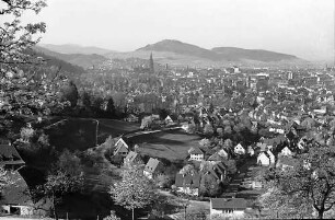 Blick auf Freiburg mit Schönberg durch die Blüten der Eichhalde