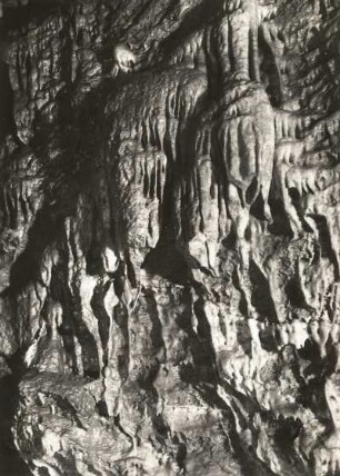 Vogtland. Syrauer Höhle. Sinterkanzeln