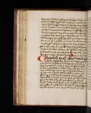 Johannes Contractus.