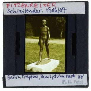 Fitzenreiter, Schreitender