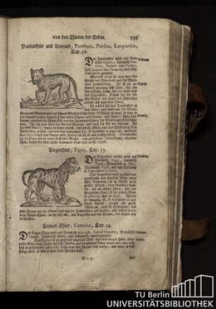 Cap. 33. Tiegerthier, Tigris.