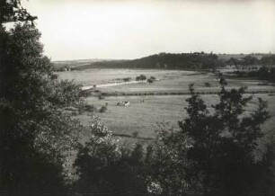 Grimmaer Land. Zusammenfluss der Mulden bei Sermuth. Blick vom Hochufer bei Kötteritzsch ins Tal der Freiberger Mulde mit Erlln