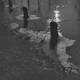 Landschaftsbild. Winter im Spreewald. : Wobraz krajiny. Zyma w Błótach.