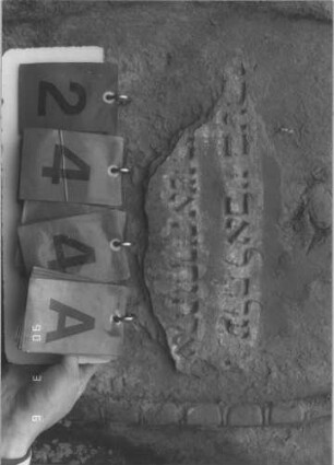 Grabstein 244 (Index: 99608968) Material: Sandstein Zustand: abgeblättert und sehr stark verwittert mit sehr großem Textverlust Maße HxBxT: 122x62x18 cm Beschreibung: Stele, profilierter Sockel, eingezogener Rundbogen mit aufgesetzten Zweigen, Schriftfeld eingetieft Symbolik: Zweige: Grabstein 244A