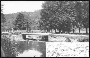 Tharandt. Edle Krone